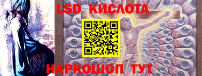 шишки Можга