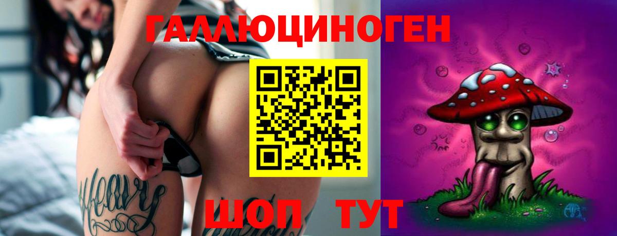 Псилоцибиновые грибы Cubensis  Вход с VPN  Усть-Джегута 